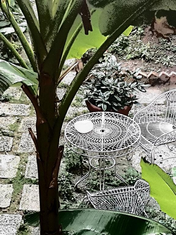 Garden Ca' Rezzonico Apartment