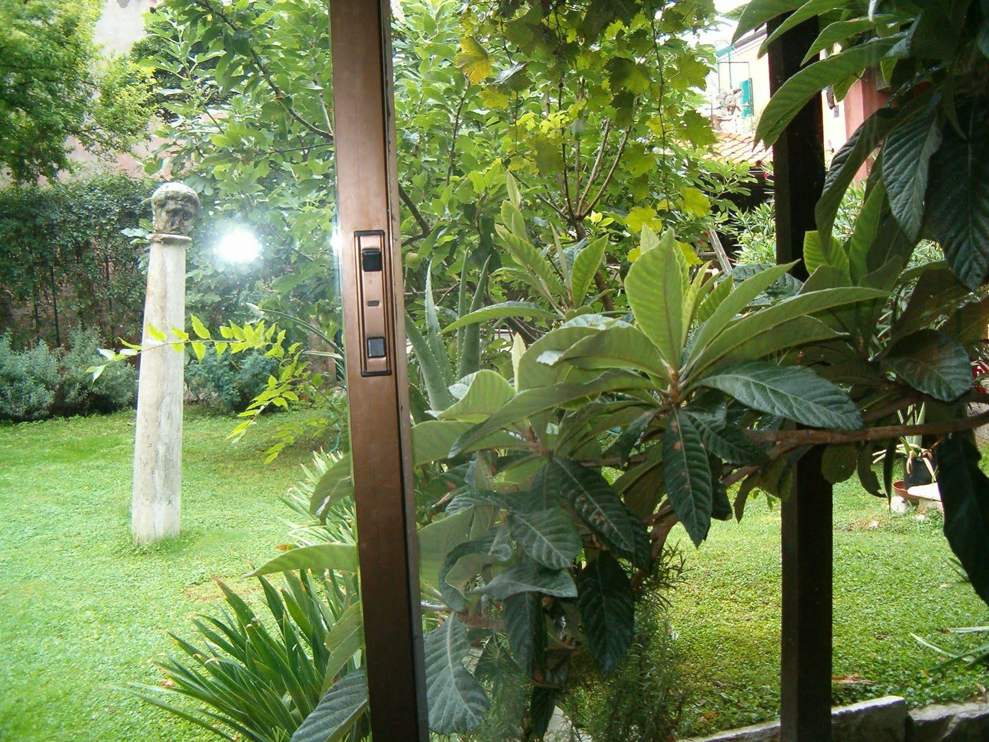 Garden Ca' Rezzonico Venice