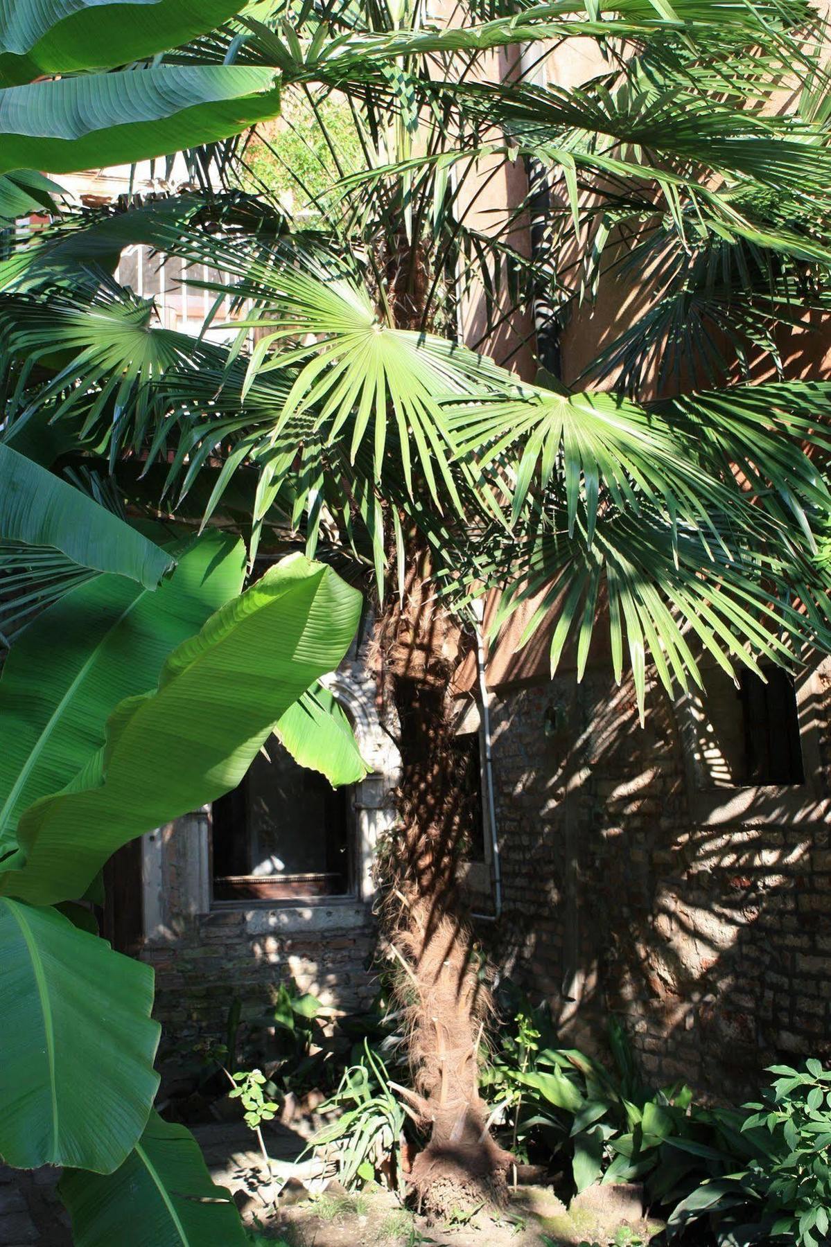 Appartamento Garden Ca' Rezzonico *
